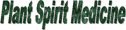 Plant Spirit Medicine